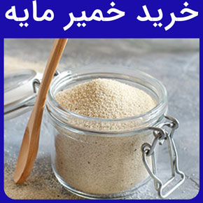 خرید خمیر مایه و خرید انواع خمیر مایه به جهت استفاده در نانوایی‌ها، نان فانتزی‌ها و قنادی‌ها و قیمت خرید انواع خمیر مایه‌ها و خرید اینترنتی خمیر مایه و نحوه خرید خمیر مایه از شرکت پارس کاک و خرید پودر خمیر مایه فوری و خرید خمیر مایه دولتی و خرید عمده خمیر مایه و لیست قیمت انواع خمیر مایه‌های ایرانی و خارجی و تفاوت خمیرمایه خشک و فوری